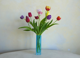 Tulpen